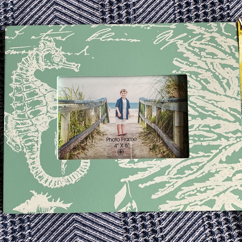 2/ $20 Seahorse picture frame